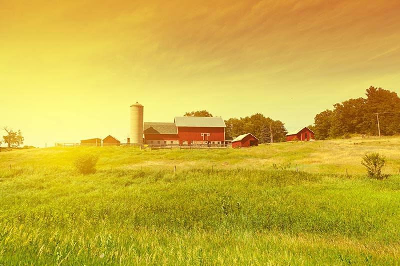 http://tricorinsurance.com/sites/tricorinsurance.com/assets/images/business/farming.jpg